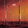 Muse Origin of Symmetry: XX Aniversary Remixx (Vinyl LP)