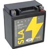 Landport Batteria AGM SLA 12V 10Ah per avviamento moto MS LB10-3