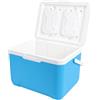 banapoy Frigorifero Portatile Isolato 22L, Scatola Refrigerante Dura | Borsa Termica Rigida Multiuso per Bevande, Birra, Frutta in Scatola, Panini e Cibi Pronti Spiaggia Campeggio