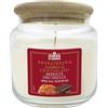 Cereria Di Giorgio - Candela Profumata in Giara - Con Astuccio Protettivo - Cera Vegetale di Palma e Soia - Collezione Aromaterapia - Ambra e Cioccolato - Serenità - Durata 80 ore - New Edition