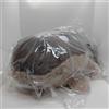 Pokémon Center Pokemon Center Clodsire Fluffy BIG Fuwa Fuwa Dakko Peluche 18 pollici JAPAN L...