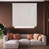 Blindecor Draco Tenda a rullo oscurante - Argento grigio, 120 x 230 cm (Larghezza x Altezza) | Dimensioni del tessuto 117 x 225 cm. Tende termiche oscuranti