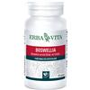 ERBA VITA SpA BOSWELLIA SERRATA 60 CAPSULE 400 MG