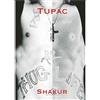 TUPAC 2PAC Textile Poster Flag Bandiera Chest OFFICIAL MERCHANDISE