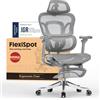 FLEXISPOT Sedia Ergonomica da Ufficio Gaming ErgoX Max, Poggiatesta 4D, Braccioli 5D, Schienale e Supporto Lombare Integrati, Portata 300 kg, Grigio(con Poggiapiedi)