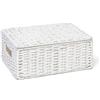 ARPAN - Cesto portaoggetti in Corda di Carta, con Coperchio, Colore: Bianco, Naturale, Medium