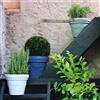 Serralunga Vaso Decorati Festonato 999 SERRALUNGA