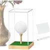 Generic Custodia Per Pallina Da Golf Vetrina In Acrilico Per Protezione | Supporto Display Per Palline Da Golf Per Appassionati Di Golf, Famiglia, Casa, Interno, Stanza, Scrivania, Mensola