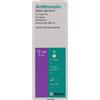 MYLAN Ambroxolo Flacone 200ml Mylan