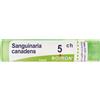 BOIRON Sanguinaria Canadensis 5Ch Granuli Multidose Boiron