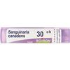 BOIRON Sanguinaria Canadensis 30Ch Granuli Multidose Boiron