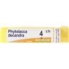 BOIRON Phytolacca Decandra 4ch Granuli Multidose Boiron