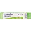 BOIRON Lycopodium Clavatum 5Ch Granuli Multidose Boiron