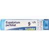 BOIRON Eupatorium Perfoliatum 9Ch Granuli Multidose Boiron
