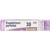 BOIRON EUPATORIUM PERFOLIATUM30CH 2