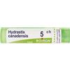 BOIRON Hydrastis Canadensis 5Ch Granuli Multidose Boiron