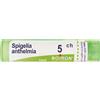BOIRON Spigelia Anthelmia 5ch Granuli Multidose Boiron