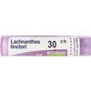 BOIRON Lachnanthes Tinctoria 30ch 80gr Boiron