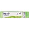 BOIRON Berberis Vulgaris 5ch Granuli Multidose Boiron