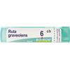 BOIRON Ruta Graveolens 6Ch Granuli Multidose Boiron