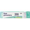 BOIRON Ruta Graveolens 200Ch Granuli Multidose Boiron