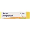 BOIRON Natrum Phosphoricum 1000k Globuli Monodose Boiron