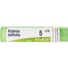 BOIRON Kalmia Latifolia 5Ch Granuli Multidose Boiron