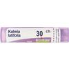 BOIRON Kalmia Latifolia 30Ch Granuli Multidose Boiron