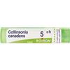 BOIRON Collinsonia Canadensis 5ch Granuli Multidose Boiron