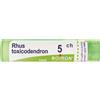 BOIRON Rhus Toxicodendron 5Ch Granuli Multidose Boiron