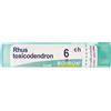 BOIRON Rhus Toxicodendron 6ch Granuli Multidose Boiron