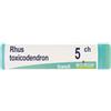 BOIRON Rhus Toxicodendron 5ch Globuli Monodose Boiron