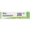 BOIRON Rhus Toxicodendron 200Ch Globuli Monodose Boiron
