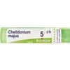 BOIRON Chelidonium Majus 5Ch Granuli Multidose Boiron