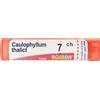 BOIRON Caulophyllum Thalictroides 7Ch Granuli Multidose Boiron