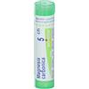 BOIRON Magnesia Carbonica 5 Ch Boiron 80 Granuli Multidose 4 Grammi