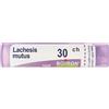 BOIRON Lachesis Mutus 30Ch Granuli Multidose Boiron