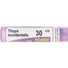 BOIRON Thuya Occidentalis 30Ch Granuli Multidose Boiron