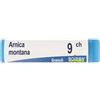 BOIRON Arnica Montana 9Ch Globuli Monodose Boiron