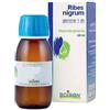 Boiron Ribes Nigrum A Base Di Gemme 60 Ml