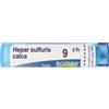 BOIRON Hepar Sulfuris Calcareum 9ch Granuli Multidose Boiron