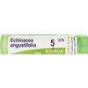 BOIRON BOECHINACEA ANGTUBO 5CH