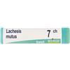 BOIRON Lachesis Mutus 7Ch Globuli Monodose Boiron