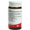 WALA ITALIA Wala Belladonna Chamomilla Globuli 20 G