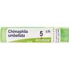 BOIRON Chimaphila Umbellata 5ch Granuli Multidose Boiron