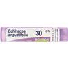 BOIRON Echinacea Angustifolia 30Ch Granuli Multidose Boiron