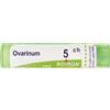 BOIRON Ovarinum 5Ch Granuli Multidose Boiron