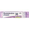 BOIRON Rhododendron Chrysan 30Ch Granuli Multidose Boiron