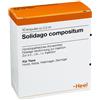 GUNA Solidago Compositum 10 Fiale 2,2ml Heel