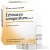 GUNA Echinacea Compositum S 10 Fiale Forte Heel